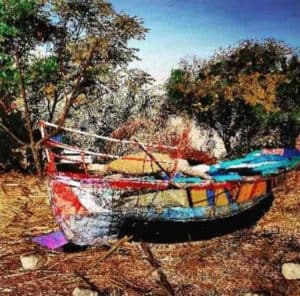 IMG_20211026_185424_459_copy_480x480