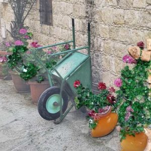 IMG_20220120_110855_copy_480x480