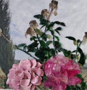 IMG_20220120_112709_copy_480x480